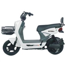 Электроскутер SHTENLI Model 29 Performance